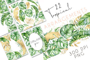 22 Tropical Arrangements: Jungle Illustrations Review