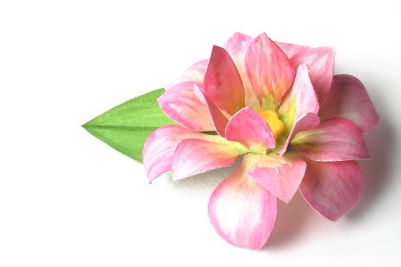3D Lotus Flower: A Review of Paper Flowers