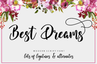Best Dreams: A Script Amp Brand Review