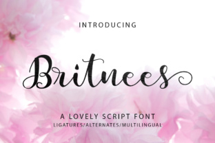 Britnees Script: A Script Amp Review for Crafters