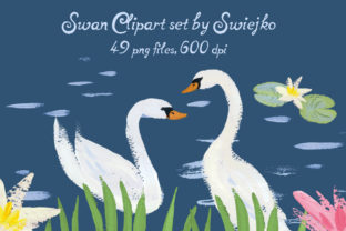 Gouache and Watercolor Swans, Lilly Illustrations