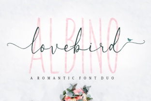Lovebird Script Amp: A Seller's Review