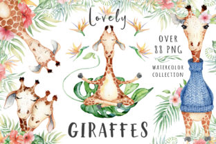 Lovely Giraffes Watercolor Illustration Review
