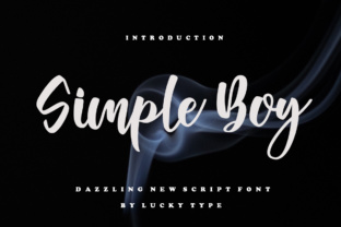 Simple Boy by Script Amp: A Brand Review