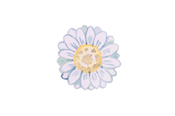 Watercolor Flower 2 Review for Designs Amp Sellers