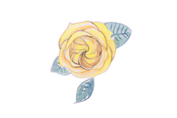 Watercolor Flower: A Designer's Real-World Review