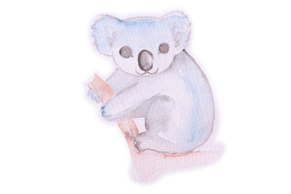 Watercolor Koala: A Brand Designer's Review