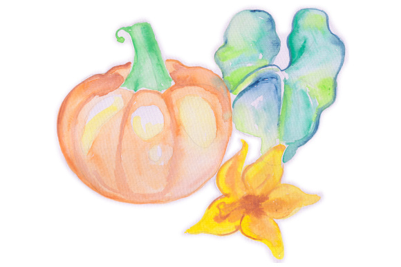 Watercolor Pumpkin: A Fall Design Review
