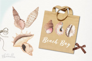 Watercolor Sea Shells Clipart Set & Illustrations