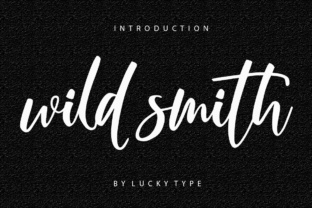 Wild Smith Script Amp: A Seller's Review